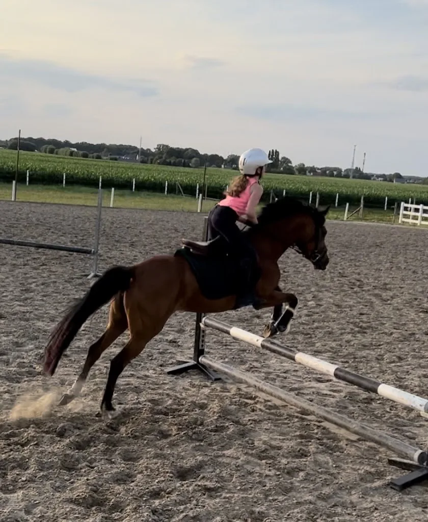 Merel Tielen Horses - foto 1