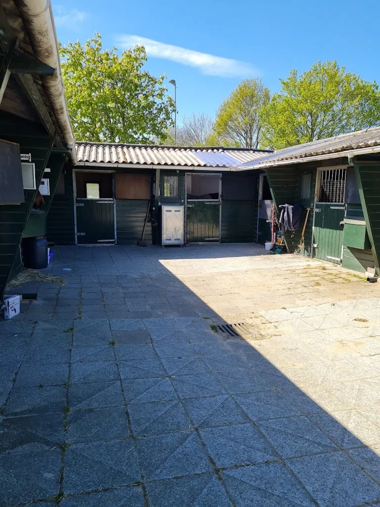 Beyaert - foto 3