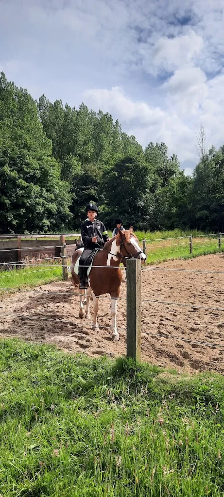 Stal Het Kroontje - foto 2