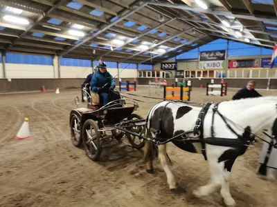DJ-Stables Scharendijke