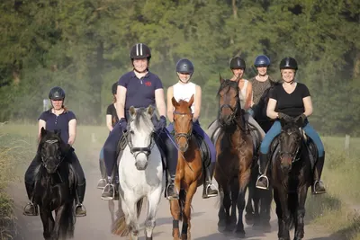 Aalbrinkhoeve Paardenhouderij De
