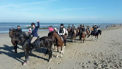 Manege De Wildhoef