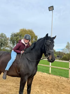 Kosse Sport Horses