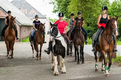 Stichting Para Paardensport