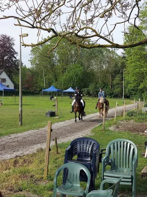 Paardenhouderij Koopman&Manege Loenen