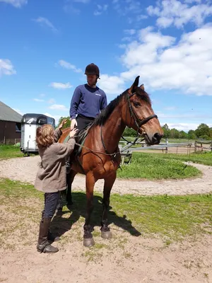 Pensionstal De Liemers / Manege de Byvank