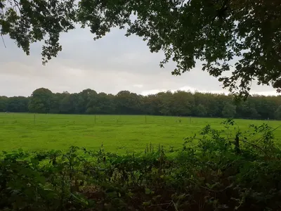 Pensionstal De Snippevlucht