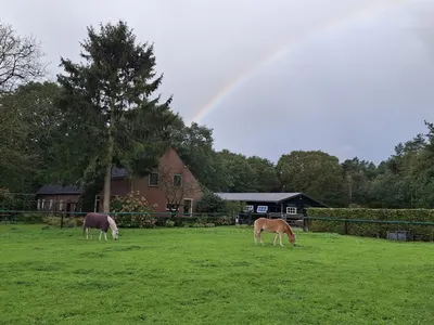 Stal Westerhof