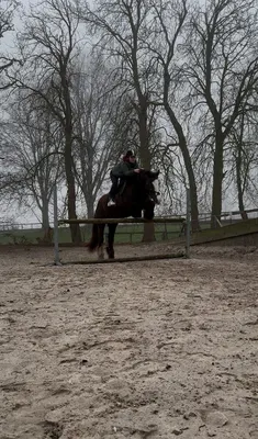 Boerderij Willemshof