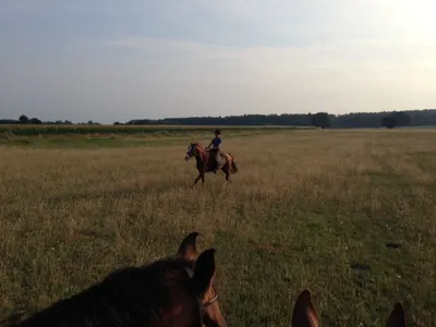 Stal Kroes
