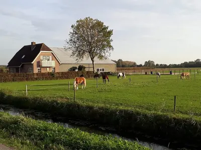 Stal d'n zute Inval