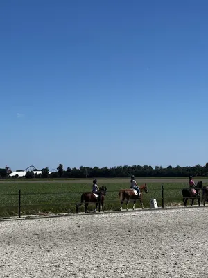Paardehouderij, -Rijschool en Akkerbouwbedrijf Frederiks