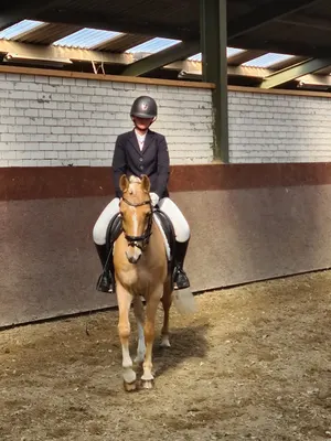 Stal Beatrixhoeve Bouthoorn