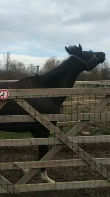 Hippisch Centrum Perier (HC Perier)