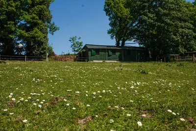 De Henriëtte Hoeve