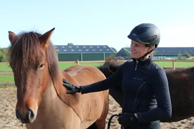 NOOR IJslandse Paarden