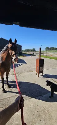 EquiDream Stables
