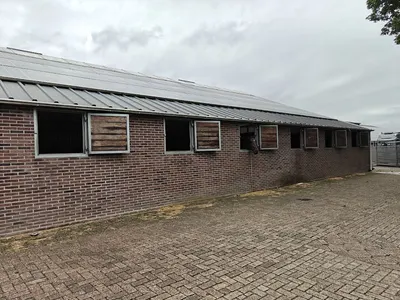 Manege Boekweitakkers
