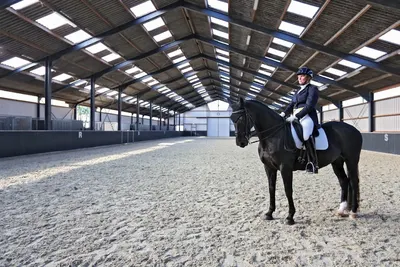 CALT Premium Stables
