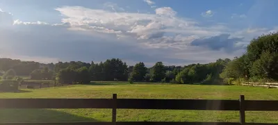 Stal De Molenweide V.O.F.