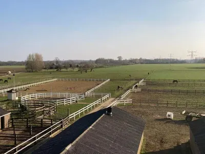 Stal de Kuiperij