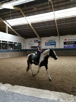 Manege de Molenberg