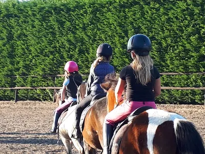Hippisch Centrum Piaffe