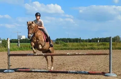 Equi Librium