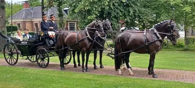 Paardencentrum Op de Heegswal