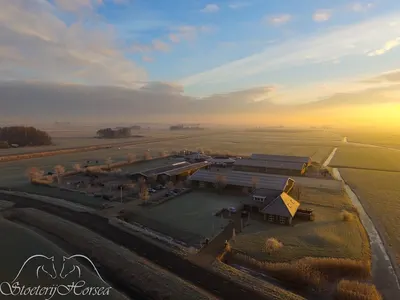 Paardenhouderij Tini Hiemstra