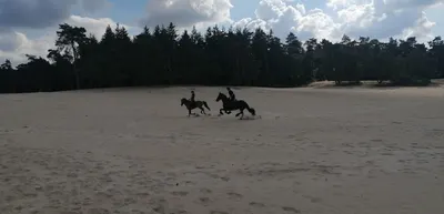 Pony Manege Ommerland