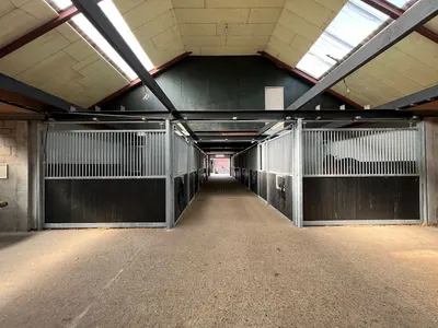 Stal Eijckendonck