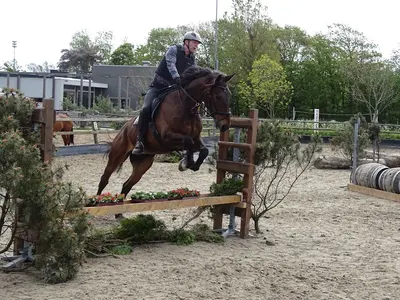 Manege De Hoef