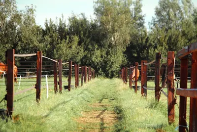 Amco Stables