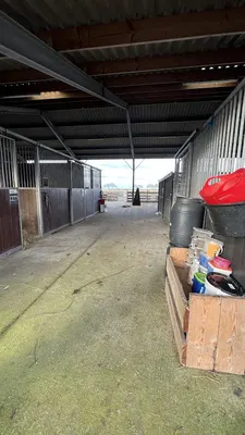 Black Pearl Hoeve