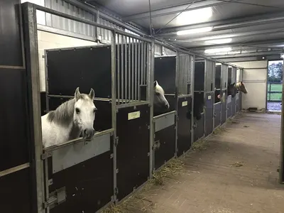 Paardenhof Manege De