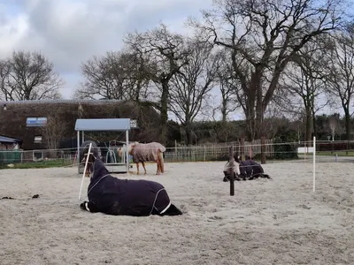 Stal Zernike
