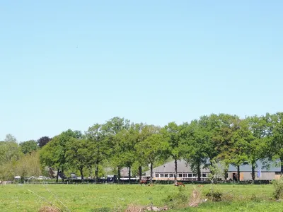 Stal Haarman