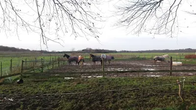 Stal "nooit gedacht"