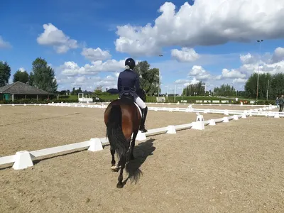 Rijvereniging en Ponyclub Oranje Ruiters van Willemstad