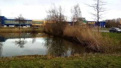 Stalhouderij delftse hout
