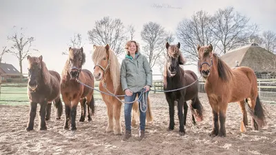 Het Paardenmiddel