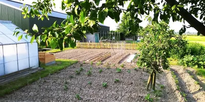 Stoeterij Broere B.V.