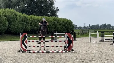 Whispering Stables