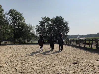 Lips Stables paardenpension