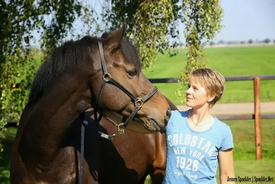 Satu Paardenfysiotherapie