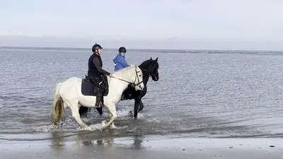 Paardrijden op Schiermonnikoog