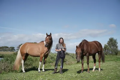 Close Contact Horsemanship