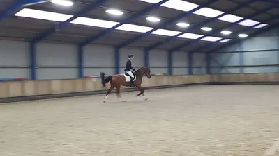 Paardensportvereniging "'t Haskelân"