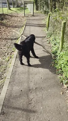Hoeve 't Nijkamp